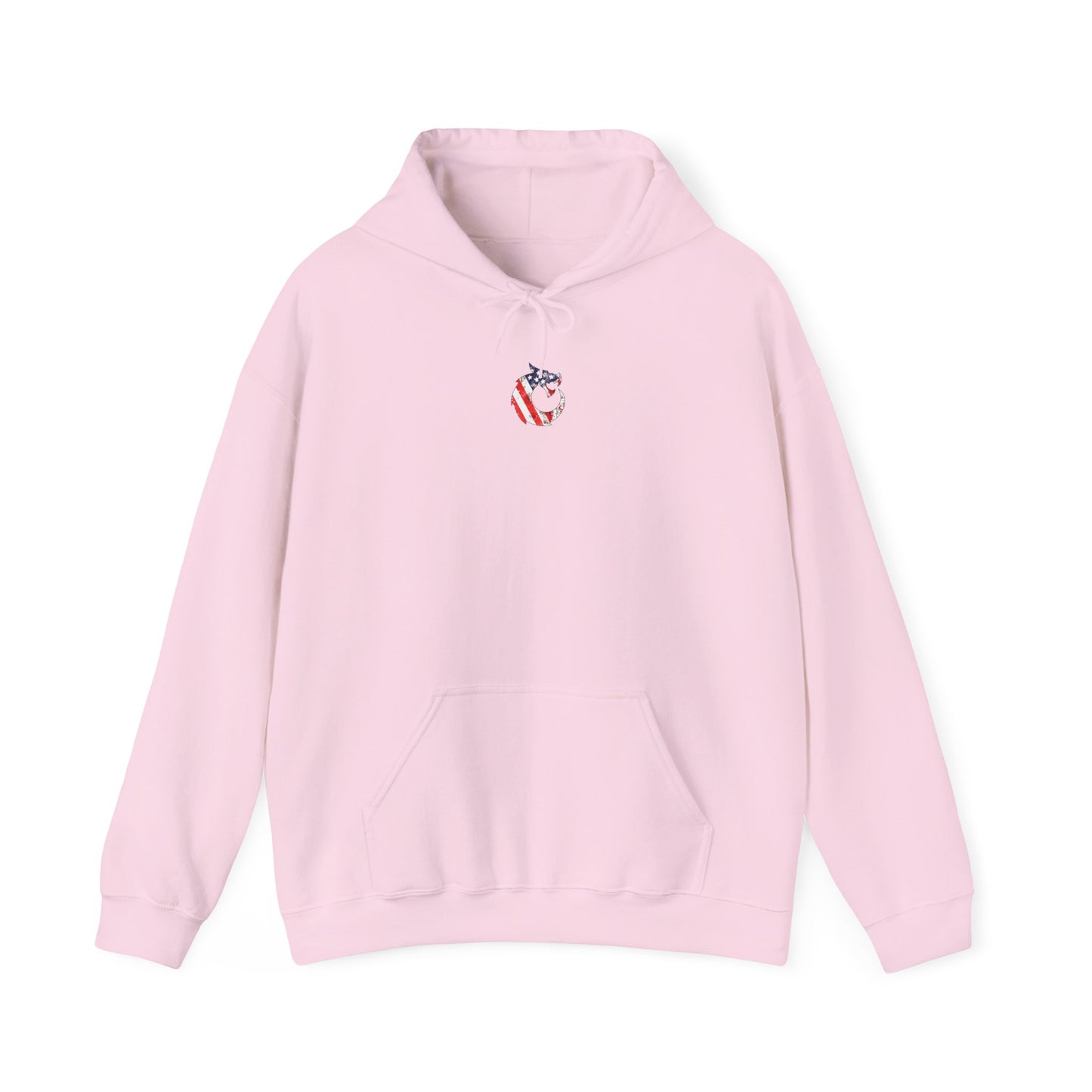 Heavy Blend™ Hooded Sweatshirt - Proud Veteran