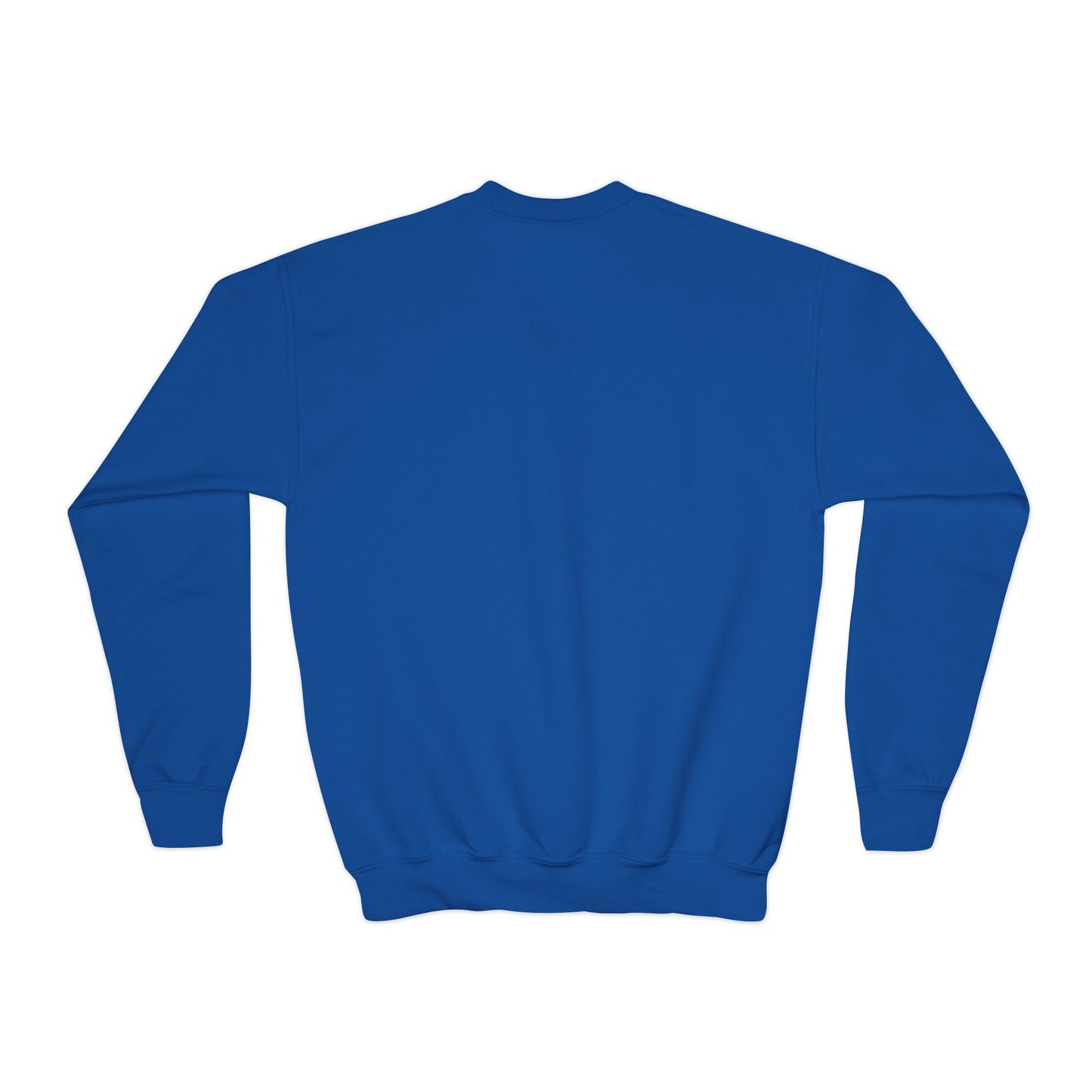 Youth Crewneck Sweatshirt - A Splash of Color