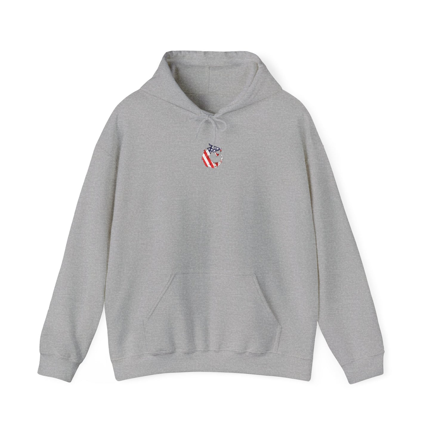 Heavy Blend™ Hooded Sweatshirt - Proud Veteran