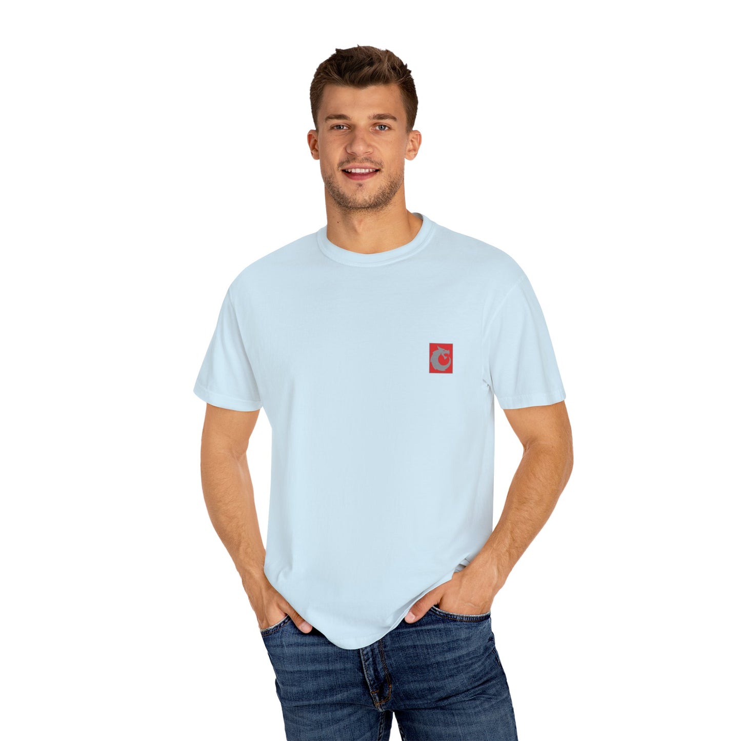 Garment-Dyed T-shirt - We The People Smoke