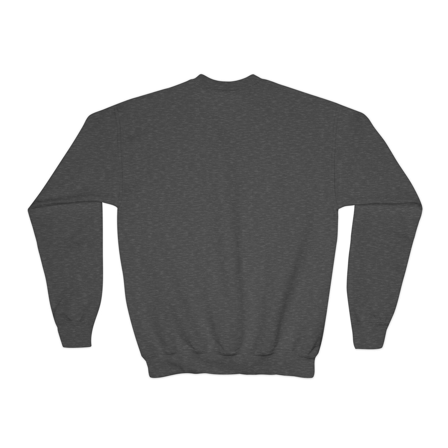 Youth Crewneck Sweatshirt - A Splash of Color