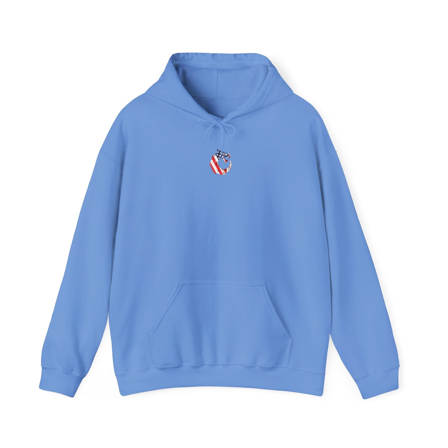 Heavy Blend™ Hooded Sweatshirt - Proud Veteran