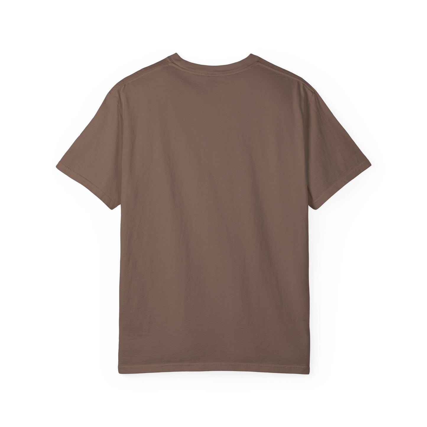Garment-Dyed T-shirt - Faded Dragon