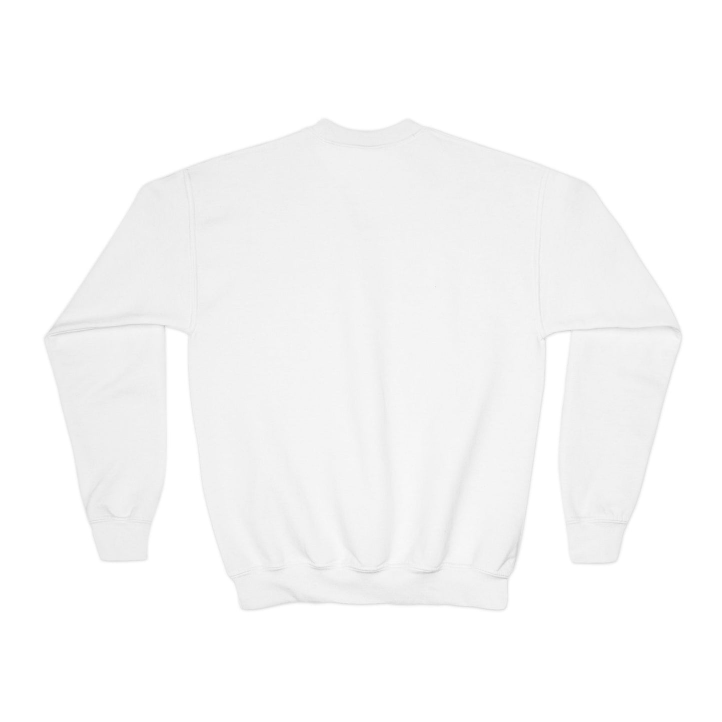 Youth Crewneck Sweatshirt - A Splash of Color