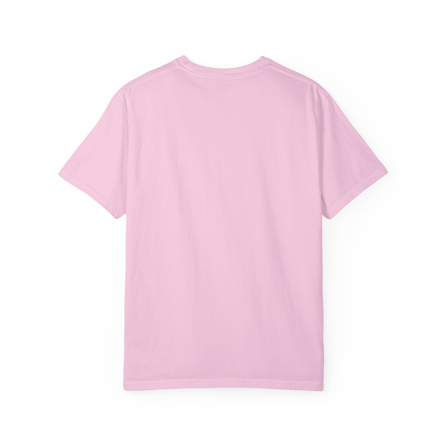 Garment-Dyed T-shirt - Faded Dragon