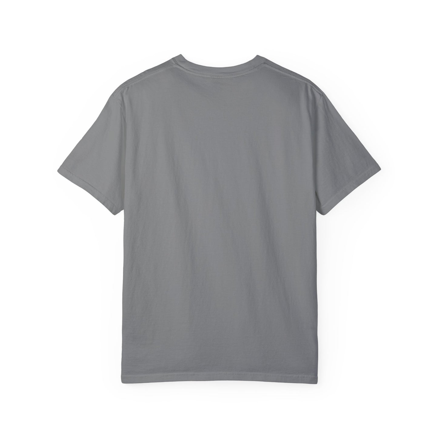 Garment-Dyed T-shirt - Faded Dragon