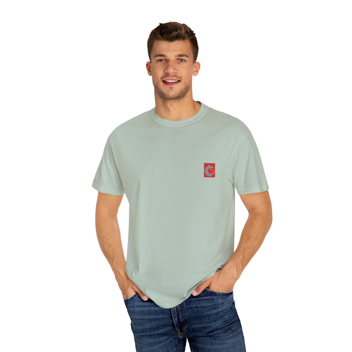 Garment-Dyed T-shirt - We The People Smoke