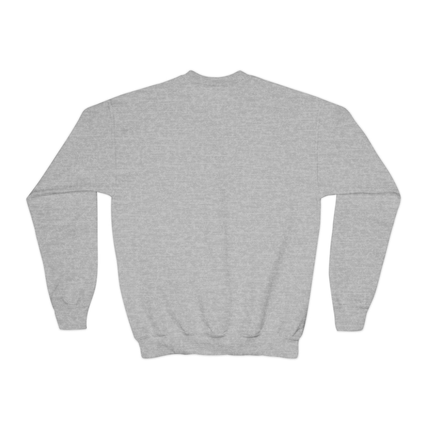 Youth Crewneck Sweatshirt - A Splash of Color