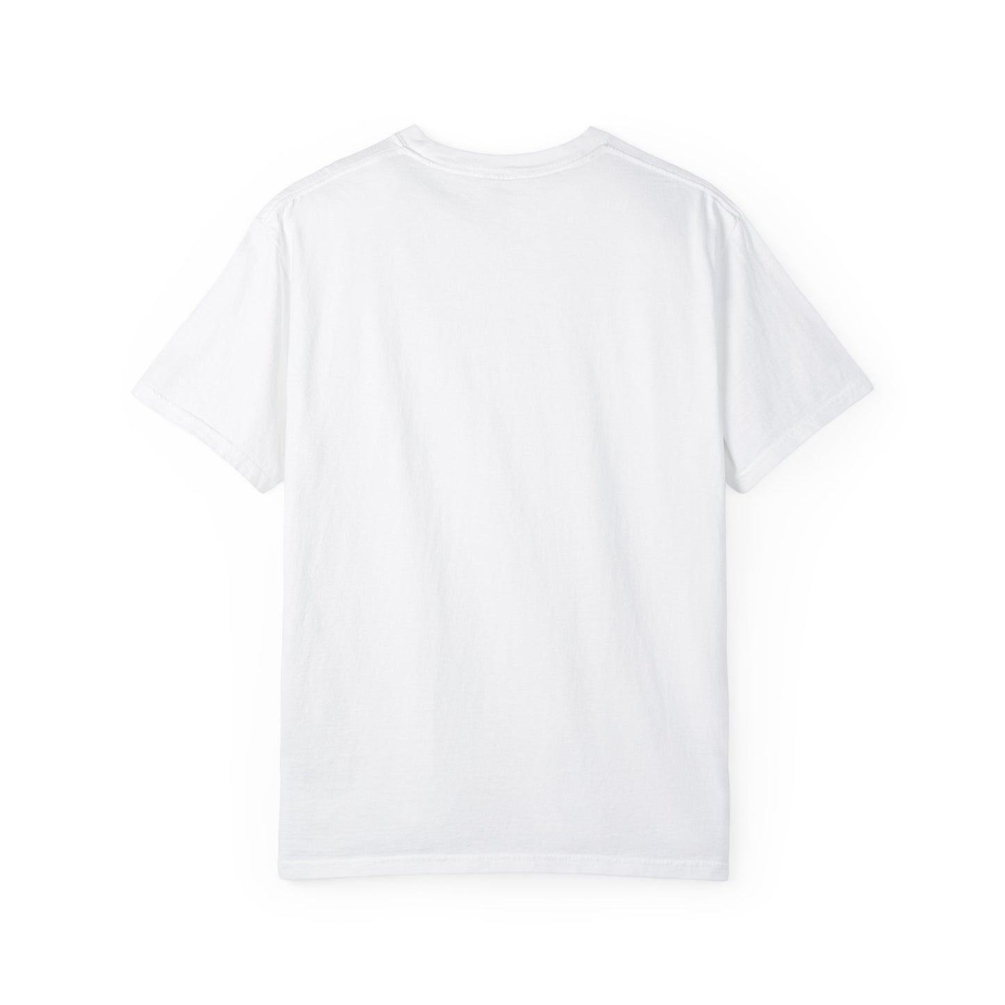 Garment-Dyed T-shirt - Faded Dragon