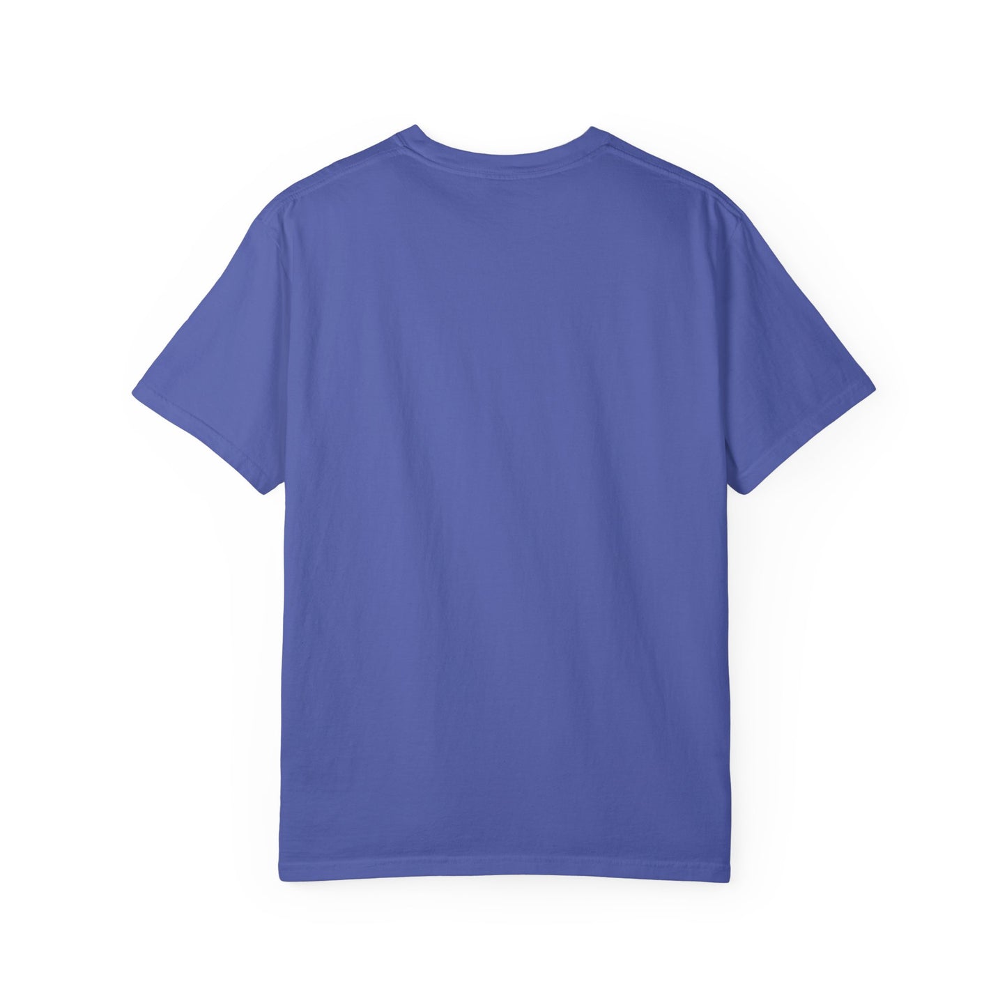 Garment-Dyed T-shirt - Faded Dragon