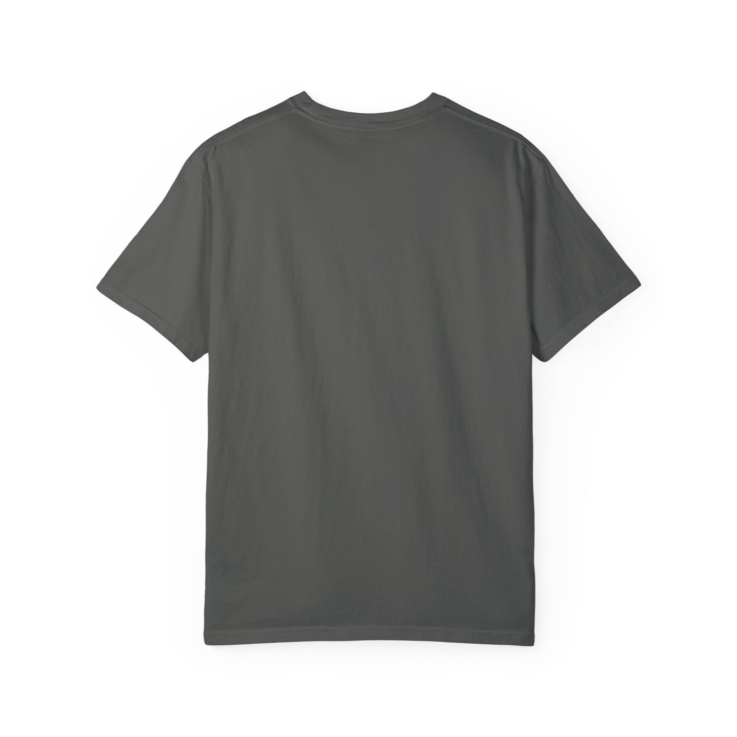 Garment-Dyed T-shirt - Faded Dragon