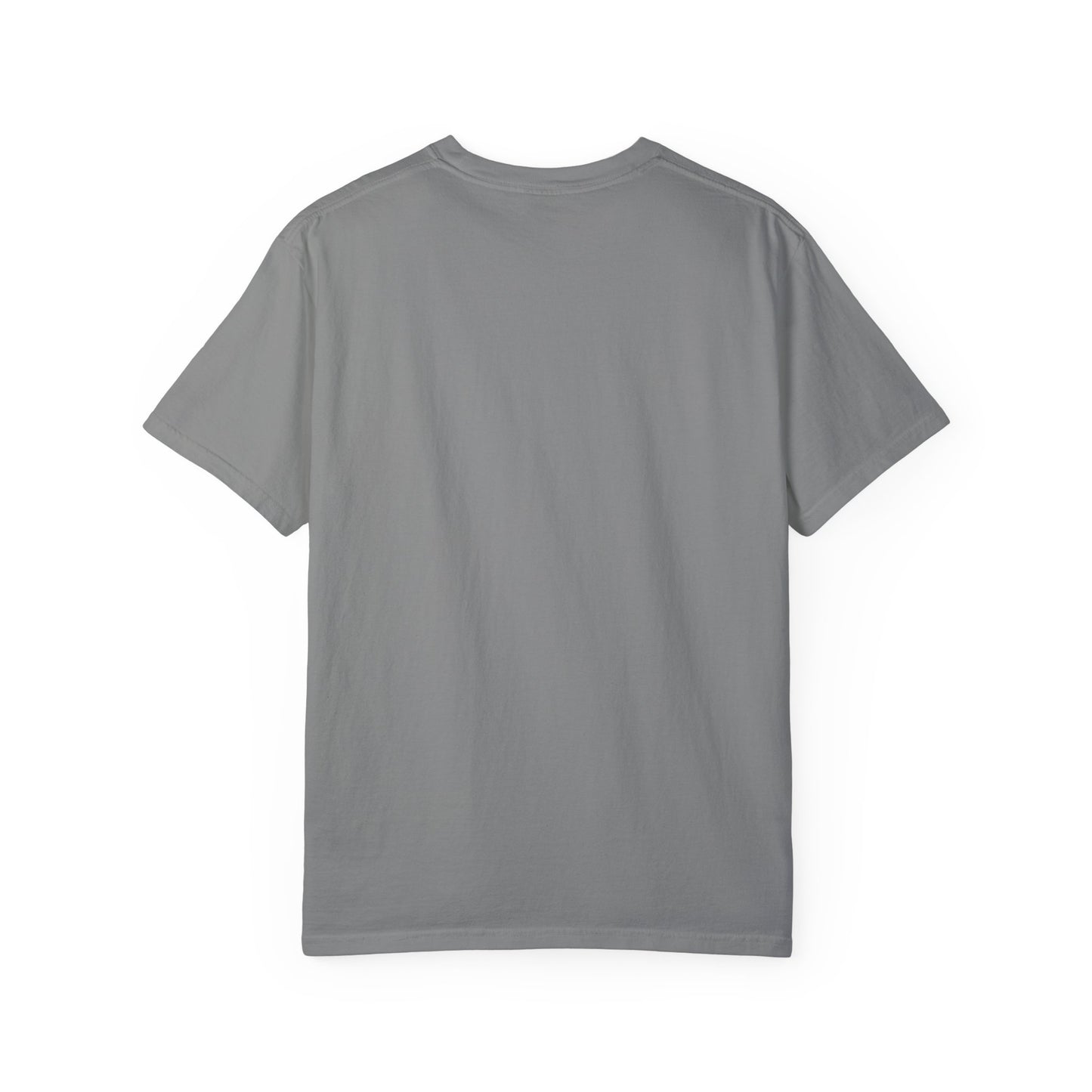 Garment-Dyed T-shirt - Faded Dragon