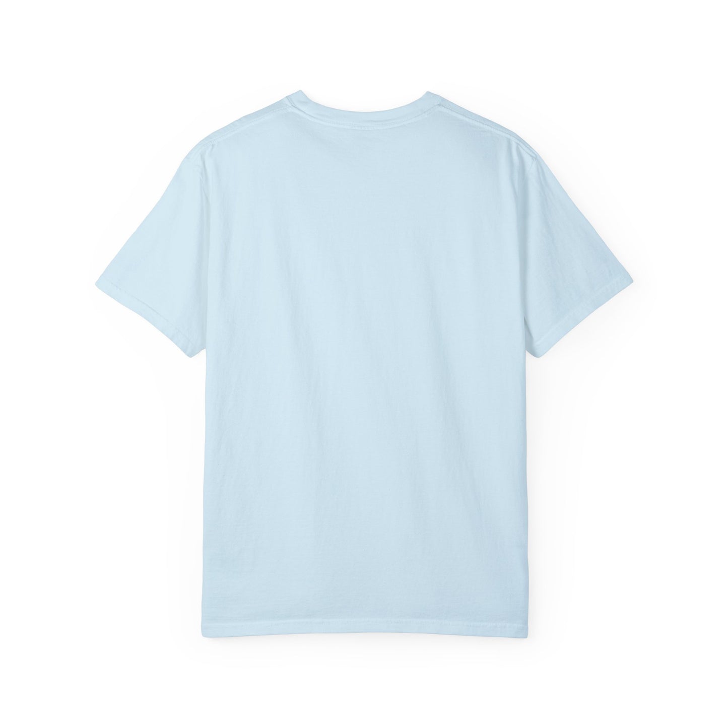Garment-Dyed T-shirt - Faded Dragon